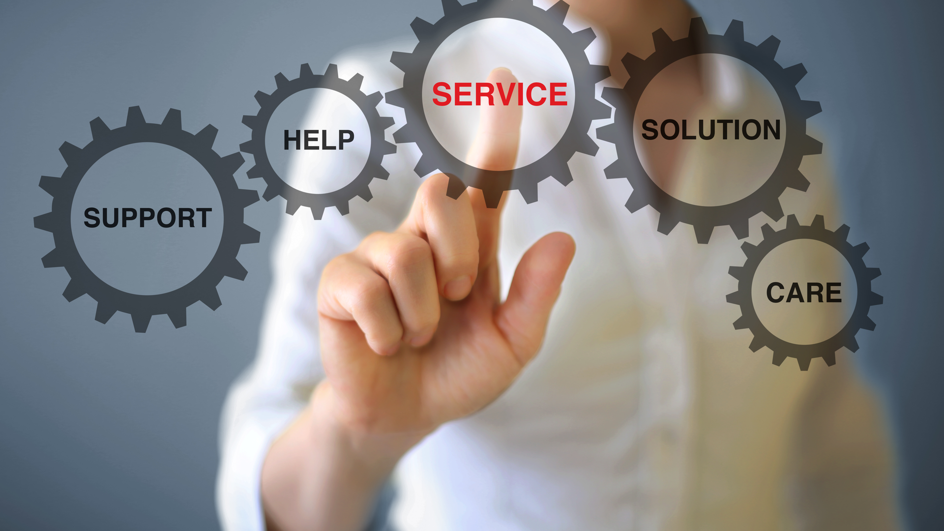 Services Management System